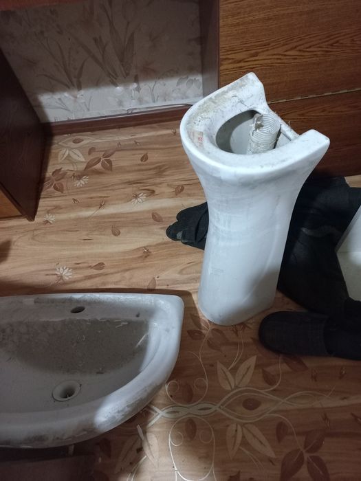 Продам тюльпан б/у,2 шт