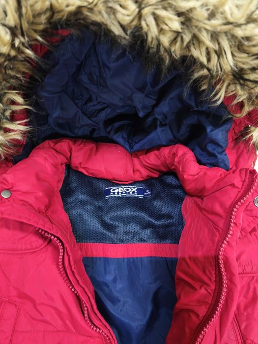 Куртки Geox(140; 152)Mexx(140).