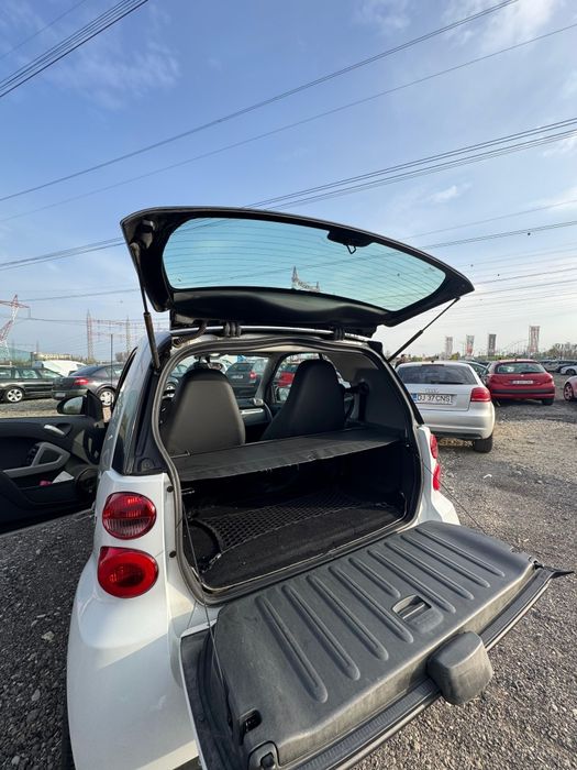 Vand Smart fortwo 451