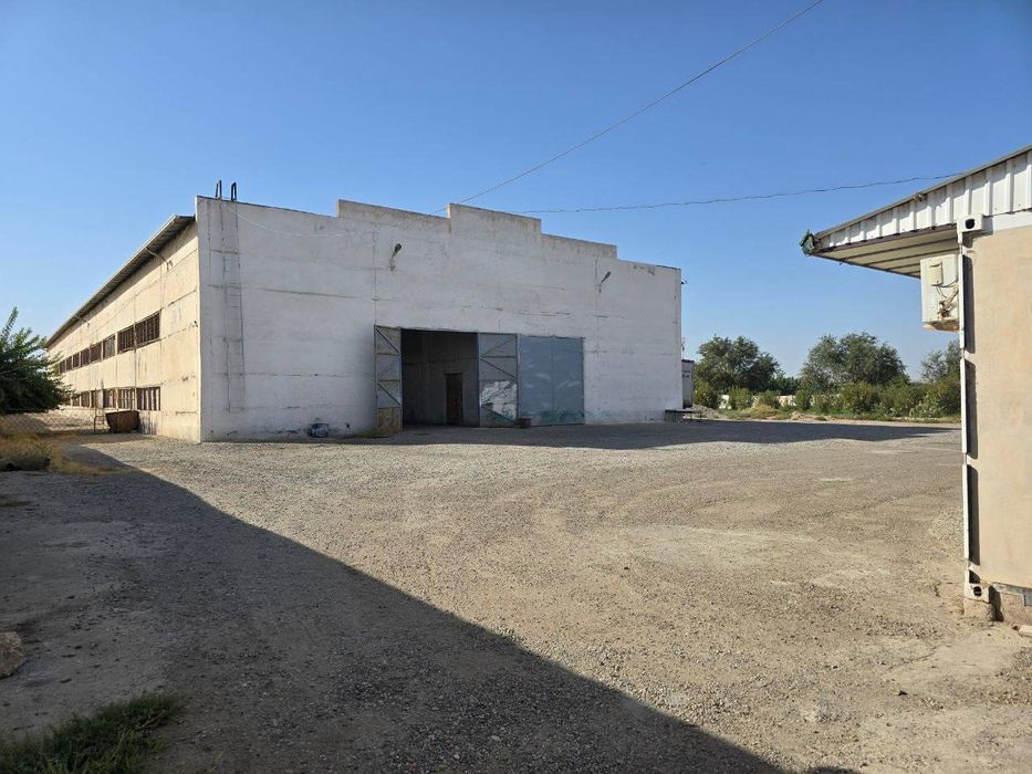 Срочно Қашқадарё