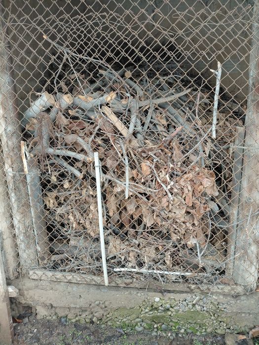 Отын трава отын агаш