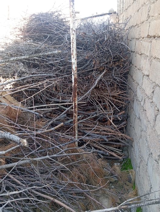 Утин тезда сотилади