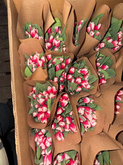 Тюльпаны в розницу