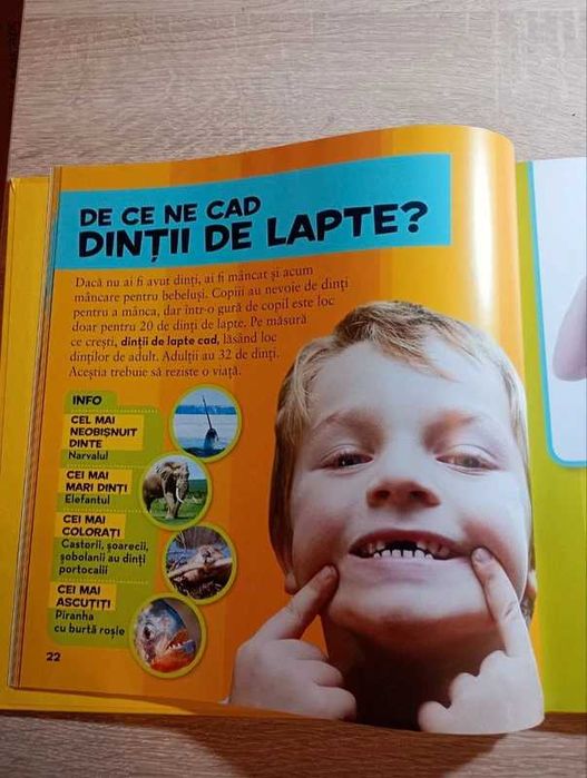 DE CE? Iată o întrebare