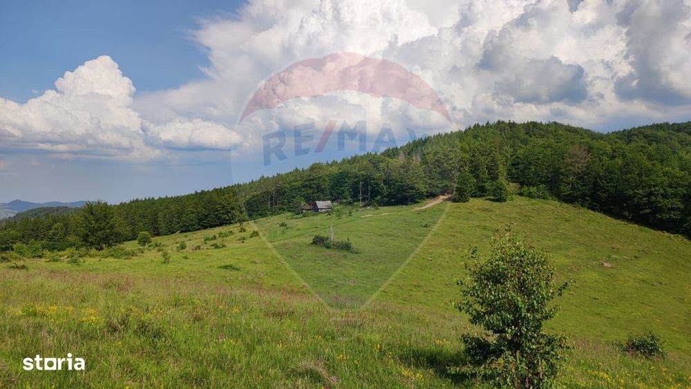 Teren 130000 mp extravilan, faneata si padure, Munteni - Bulz, Negreni