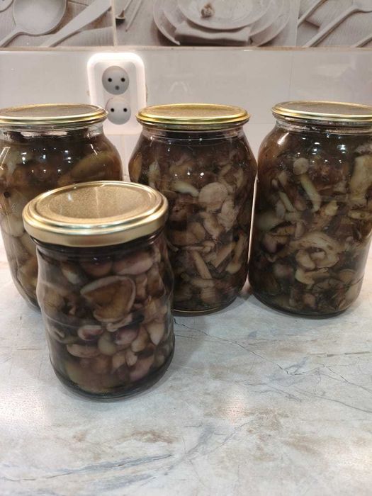 Грибы солёные, маринованные