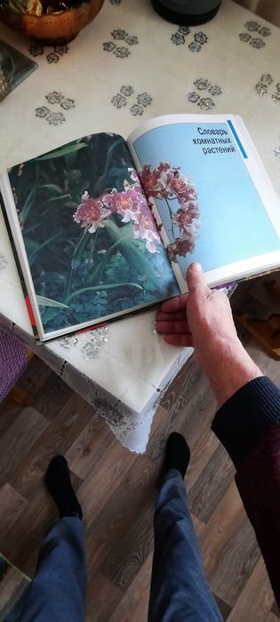 Продам класную книгу