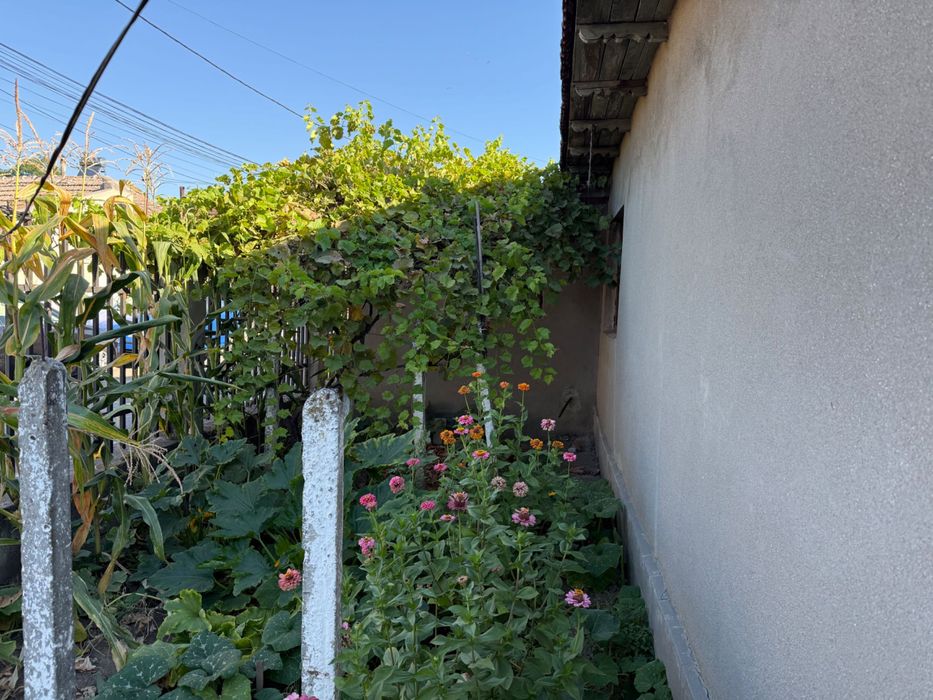 Casă de vânzare