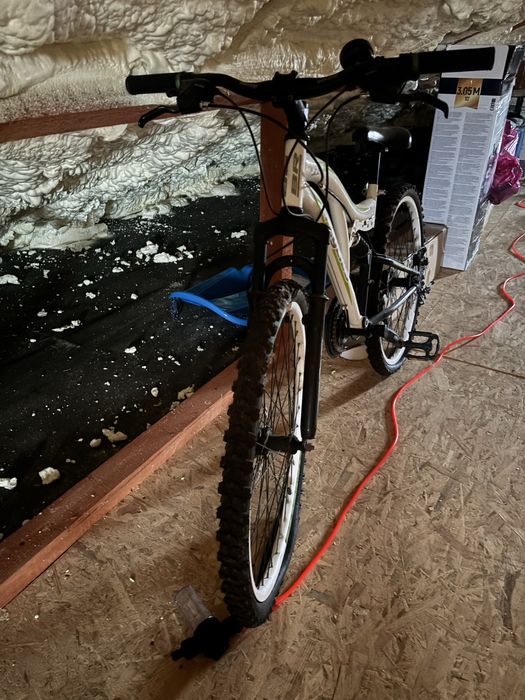 Bicicleta nefolosita, calitativa