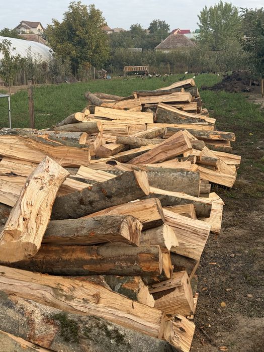 Lemne de foc tăiate și crăpate la dimensiunile dorite esente tarii!