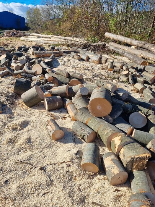 Lemne de foc fag si carpen capete uscate sau verzi 600.lei tona