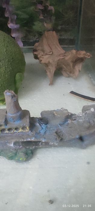 Два аквариума на стойке