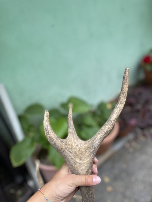 Еленски рога.