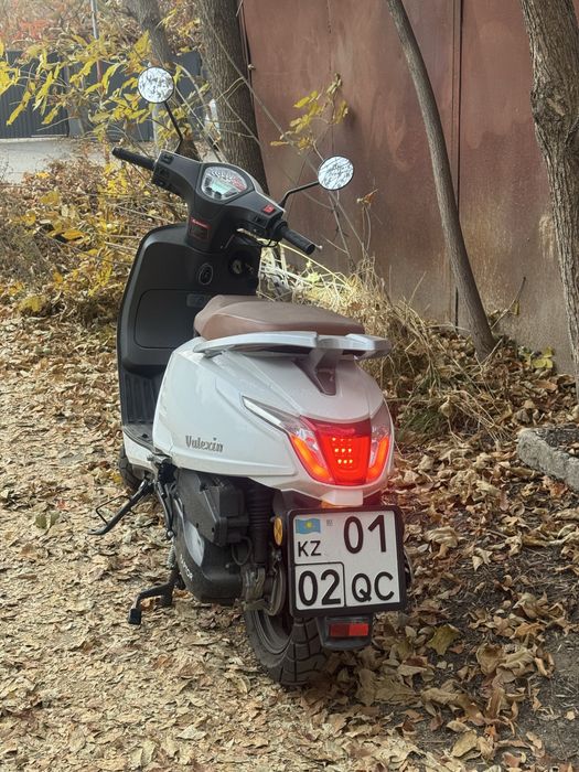 Raptor мопед скутер