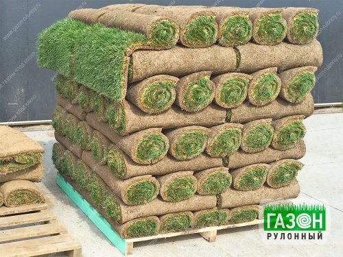 Готовый Газон также ландшафтный дизайн