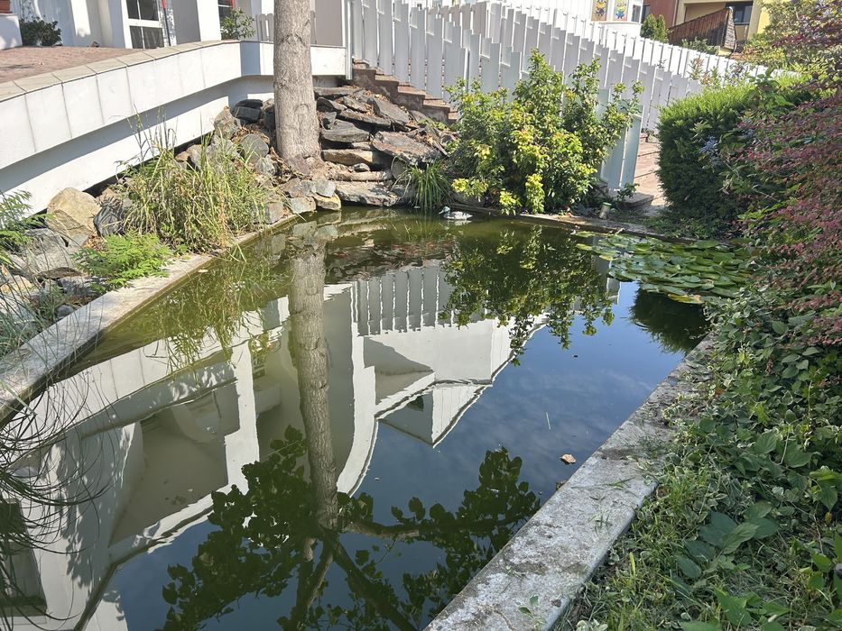 Amenajare, mentenanta acvarii si iazuri