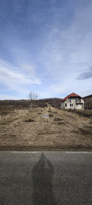 Teren 2.366 mp Zervești – drum principal spre Muntele Mic