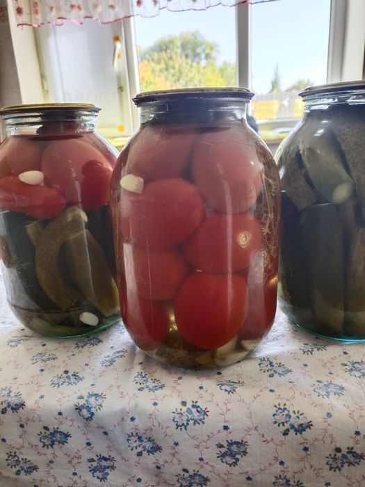 Тараз. Огурцы ,помидоры-500 тенге     местоположение 40 мельница.огурц