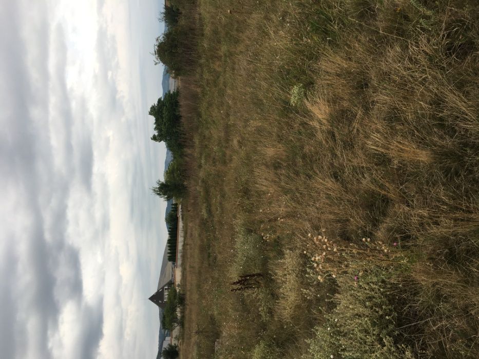 Продава се Парцел в Радомир - 6020 кв.м за 18 €/кв.м - Снимка #4