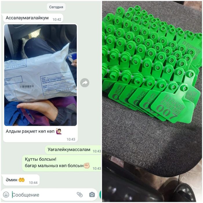 Мені кискаға сал