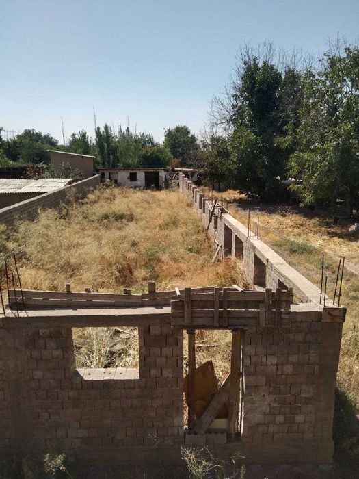 Ферма недалеко от Ташкента