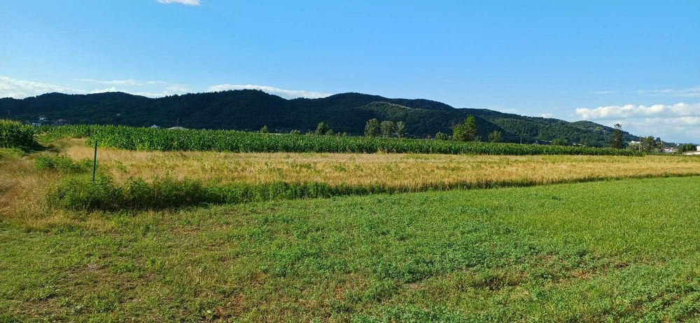 Teren Intravilan - drumul garii Ramnicu Valcea