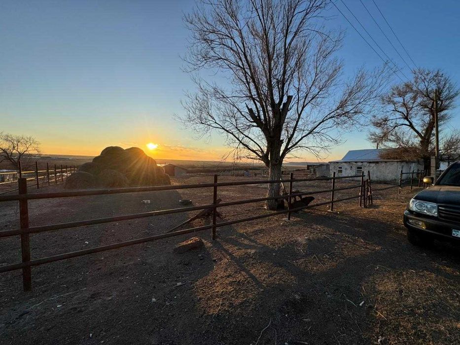 Продам крестьянское хозяйство