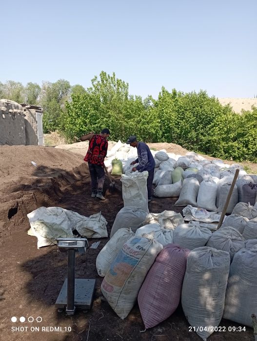 Biogumus sotiladi optim narxda