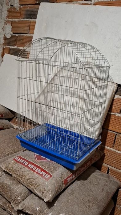 Ръчнохранен социален вълнист изложбен папагал