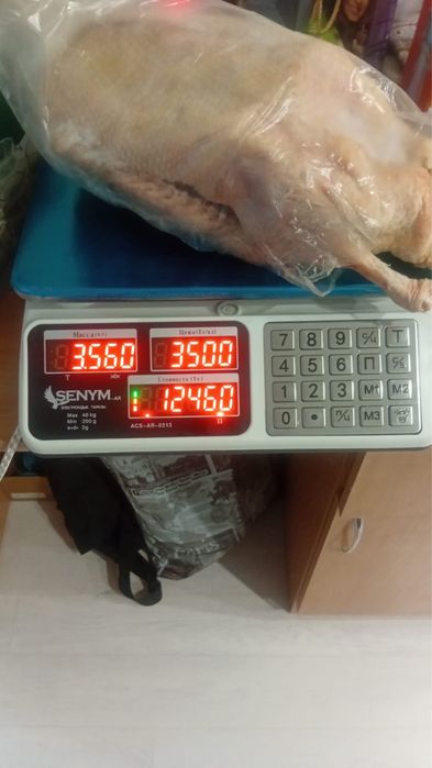 Продам Гусей 3 500 за килограм