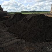 чернозем ( земля для огорода)