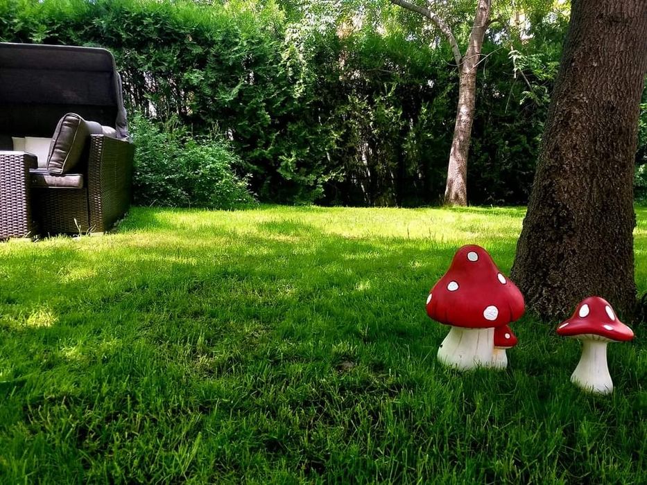 Апартамент в Слънчев бряг , нощувки