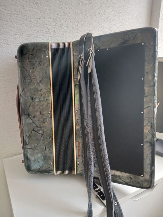 Acordeon Parrot 96 basi