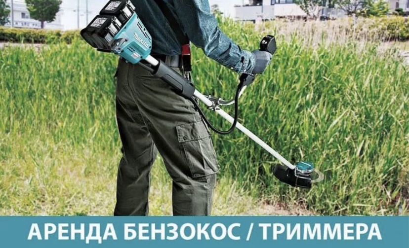 Триммер суточная аренда