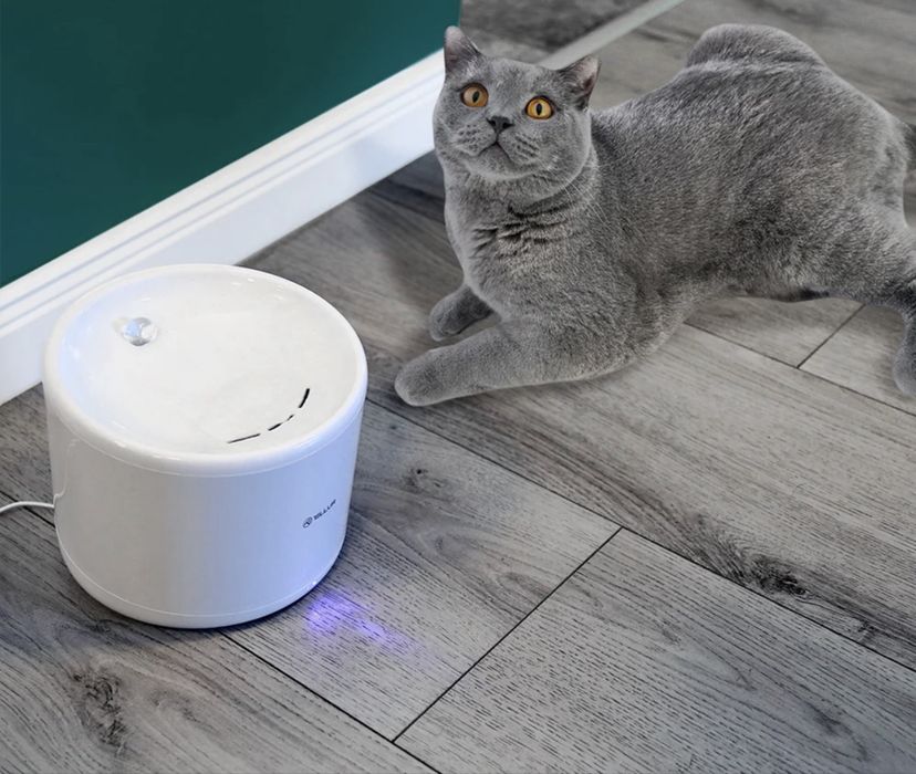 Dispenser Apa Animale Tellur WiFi Smart 2L Alb