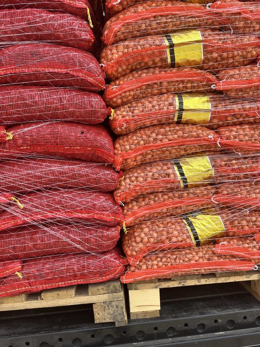 Vand arpagic stuttgarter reisen olanda