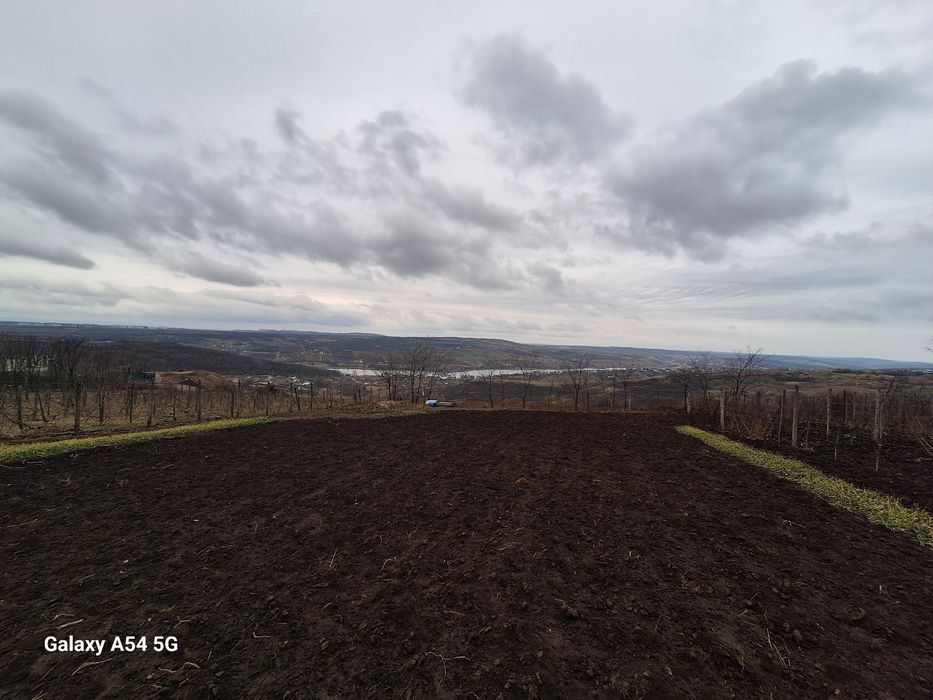 Teren Aroneanu 1000mp, intravilan