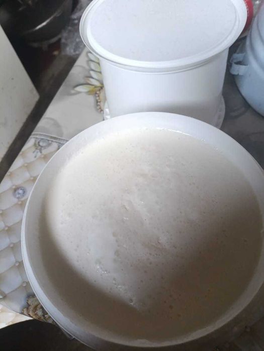 Свежье козье молоко по 900. Для первых клеентов.