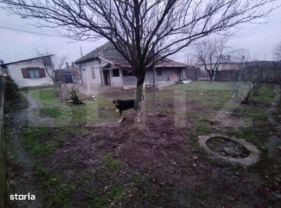 Casa P, 90 mp, 516 mp teren, deschidere 20 m, zona Romanesti - Bucura
