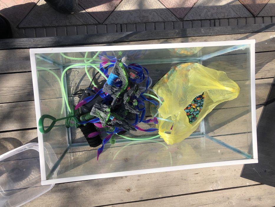 Аквариум барлык заттарымен сатылады