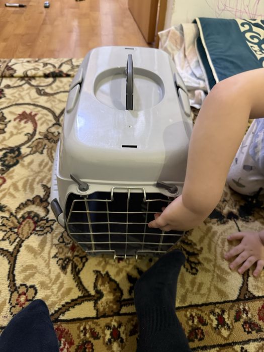 Перенос для кошки домик