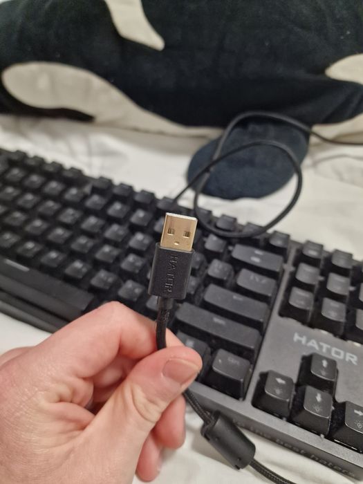 Клавиатура Hator Rockfall Evo TKL