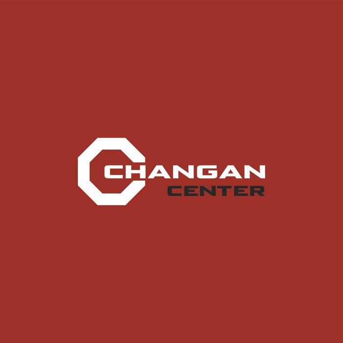 Moy nasos Changan T3