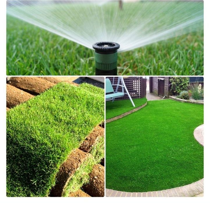 Уругда  газон сепамиз ,полиф система, рулонные  газон.