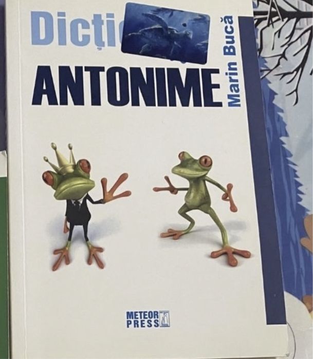 Maria Bucă-Dicționare.