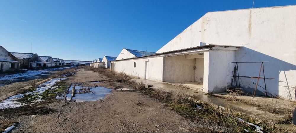 Птицеферма, ферма , промишлени помощения