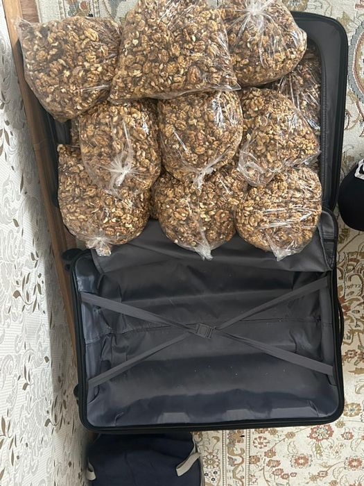 Жанғақ түлкібастын