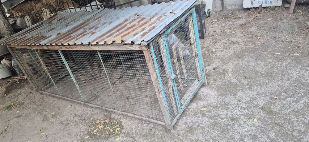 Katak sotiladi xolati alo arzong