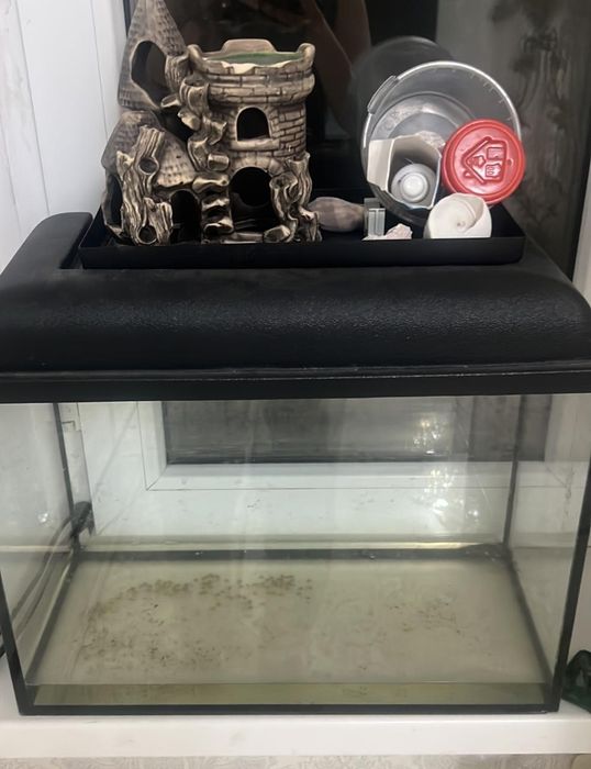 Аквариум в хорошем состоянии