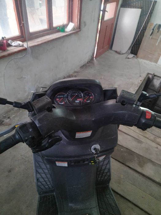 Suzuki brooklyn